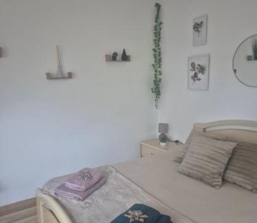 Maxent House | Chez Vallye