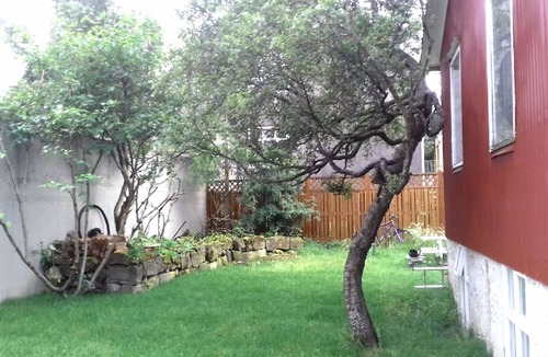Downtown House | Cozy Private House in the hearth of city, great for family, friends or business
