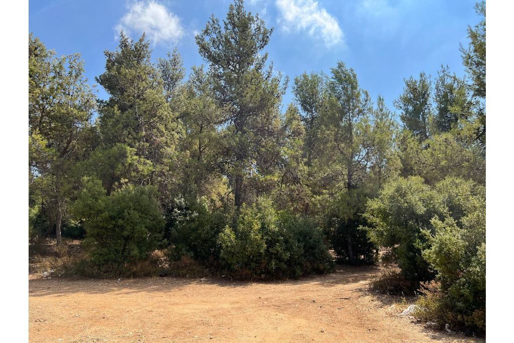 Photo of Outdoor in Suwailih