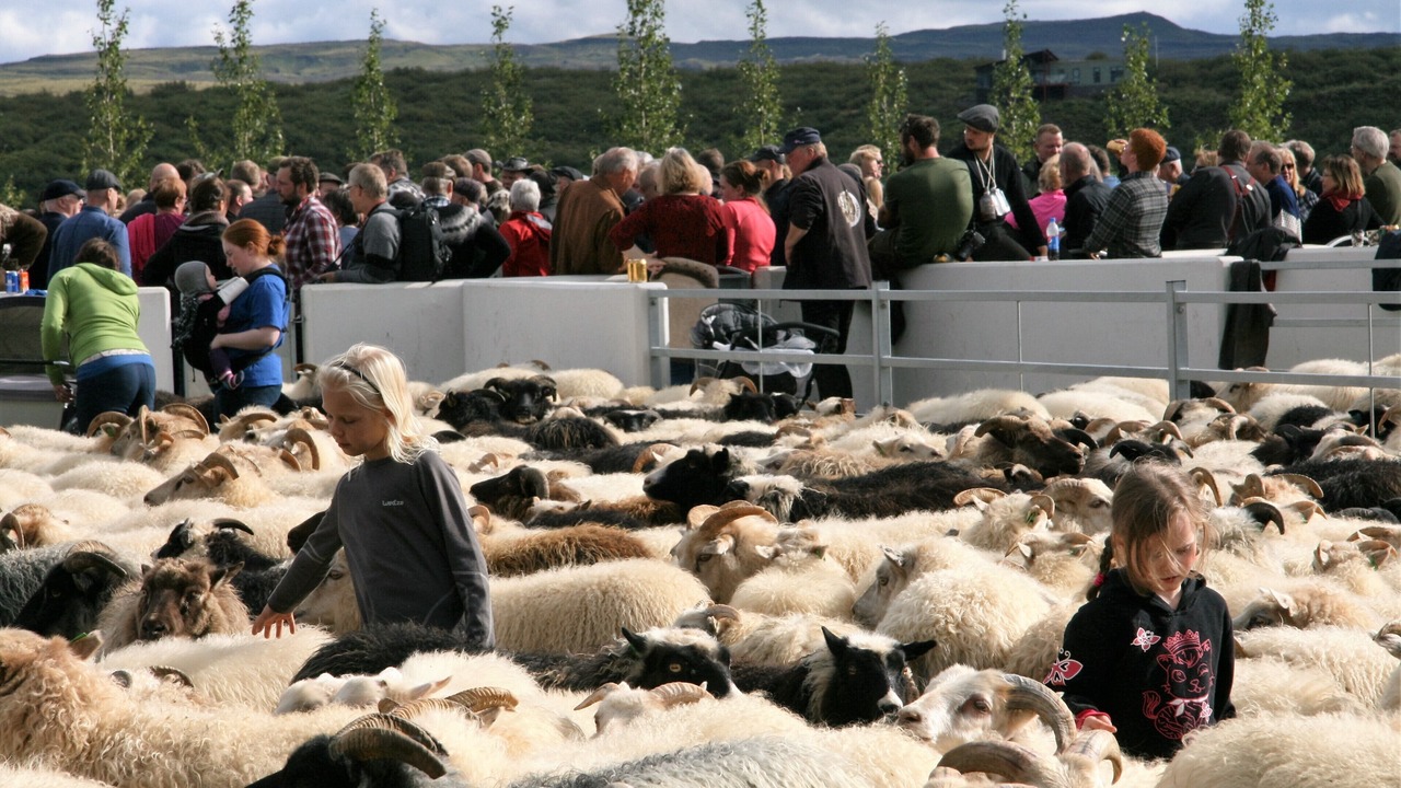 Photo of Others in Borgarnes