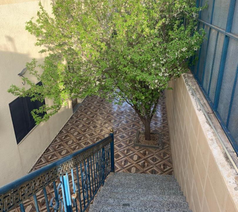 Photo of Others in Jordan